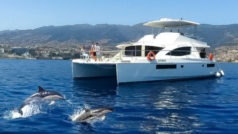10 Best Boat Tours On Madeira Island