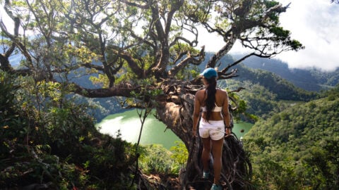 Hiking Mount Talinis on Negros Island, Philippines