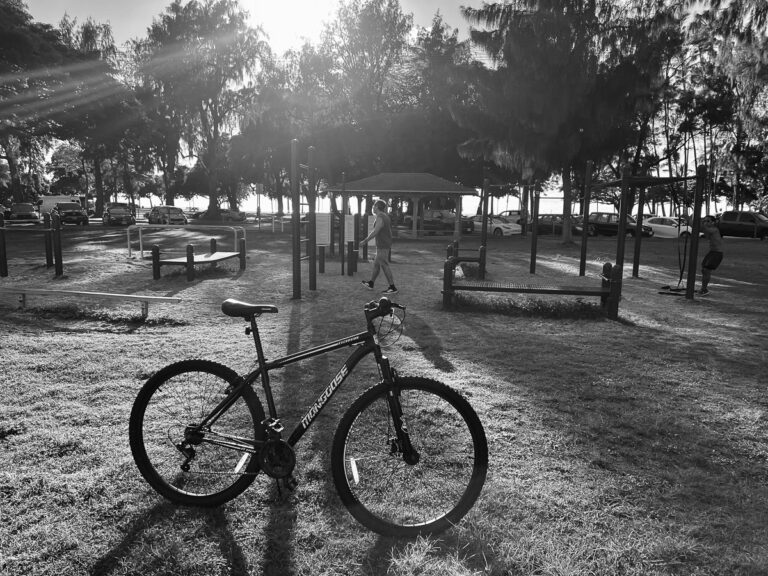 a bicycle parked in the grass near a park