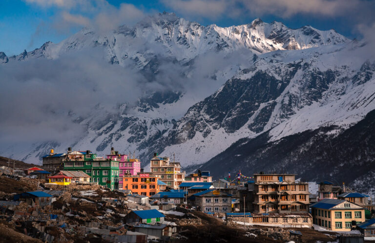 a snow covered mountain is in the background