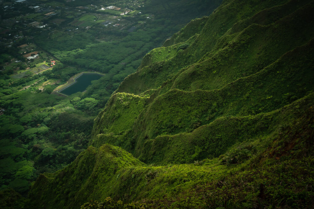 a view of a lush green mountain side