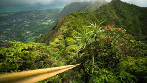 Hiking the Wailupe Loop Trail on Oʻahu, Hawaiʻi