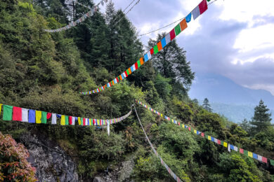 a long line of multicolored flags on a mountain side