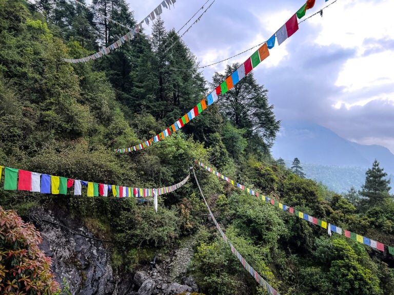 a long line of multicolored flags on a mountain side