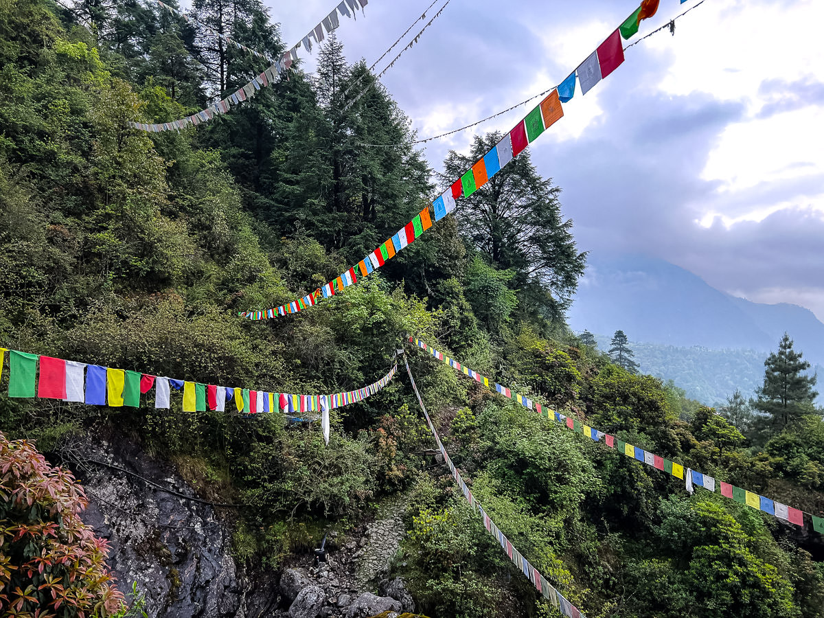 a long line of multicolored flags on a mountain side
