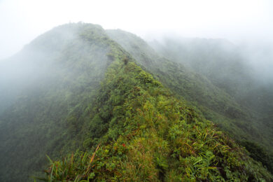 a very tall mountain covered in lots of vegetation.