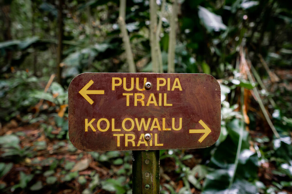 a sign pointing to a trail in the jungle.