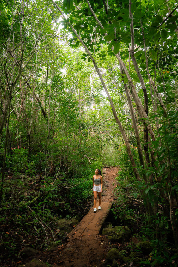 a woman walking down a dirt path through a forest.
