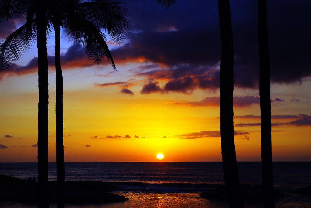 the sun is setting over the ocean with palm trees.
