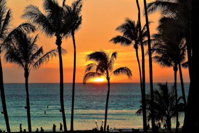 a sunset over the ocean with palm trees.