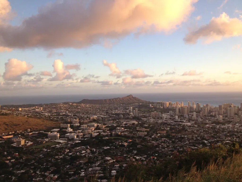 a view of a city with a mountain in the background.
