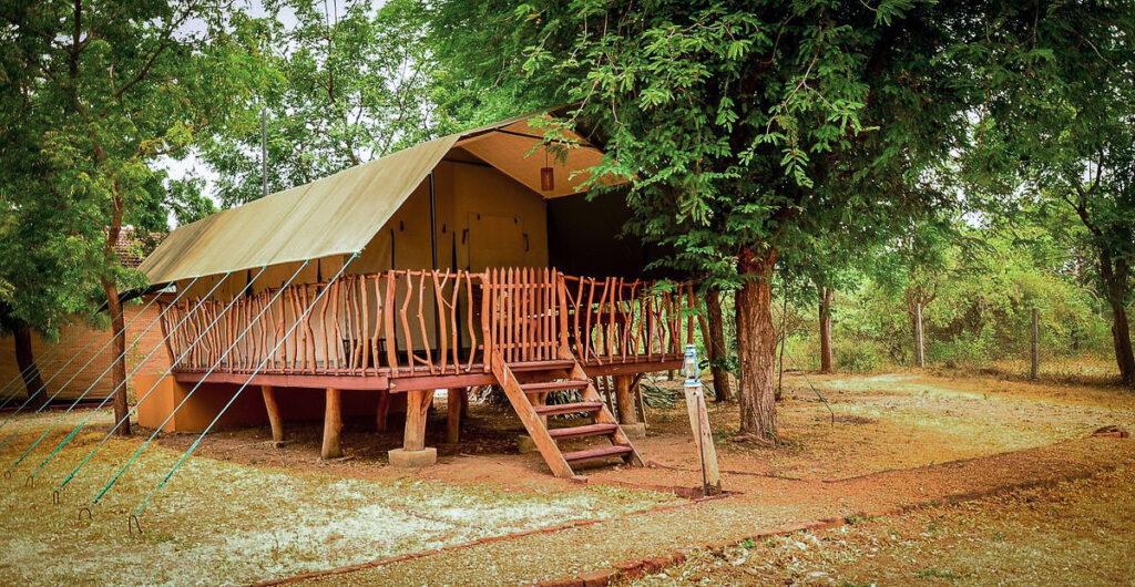 An eco lodge in Sri Lanka featuring a tent with a wooden deck and stairs.