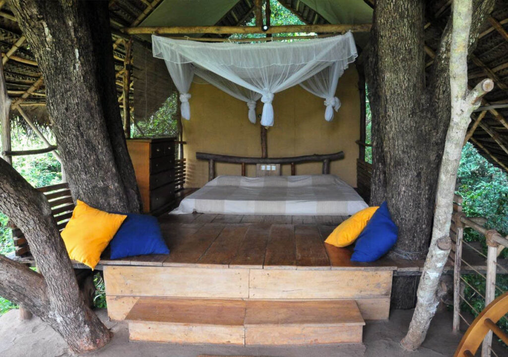 An eco lodge in Sri Lanka with a canopy bed amidst the forest.