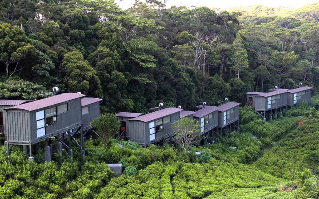 A cluster of eco lodges nestled amidst Sri Lanka's lush forests.