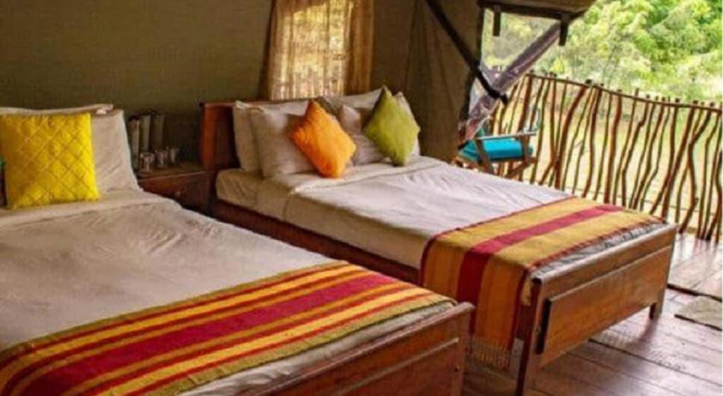 Two beds in an eco lodge on a wooden floor in Sri Lanka.