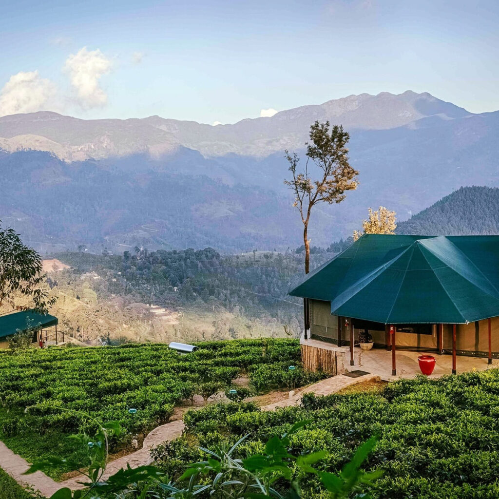An eco lodge on a tea plantation with mountains in the background in Sri Lanka.