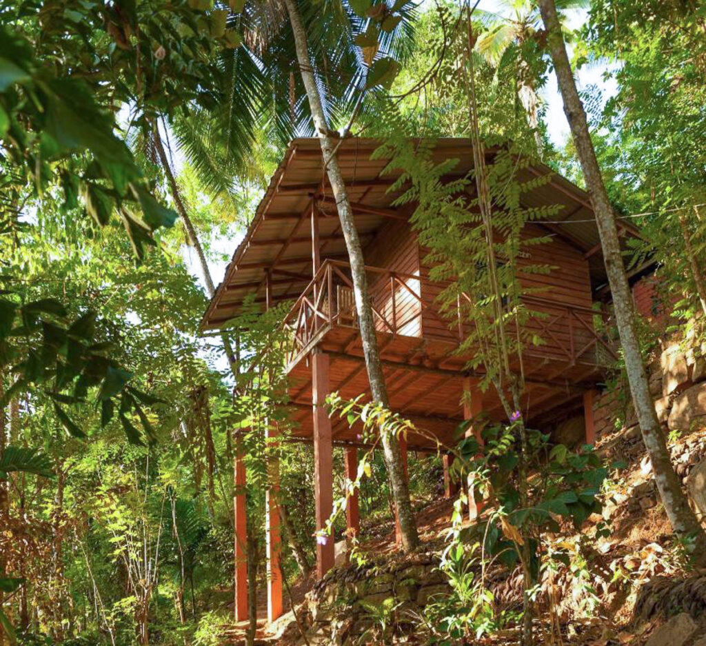 An eco-friendly cabin hidden amongst the Sri Lanka woods.
