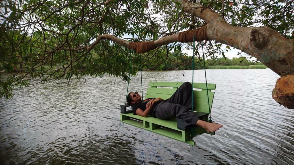 A man relaxing on an eco-friendly swing suspended from a Sri Lankan tree.