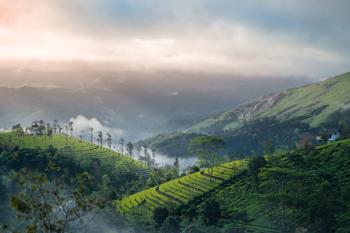 Trekking to Phantom Hill in Munnar, India