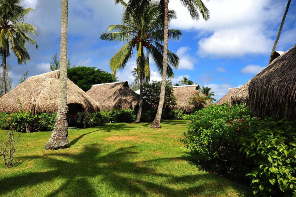 Resorts in Moorea featuring thatched huts and palm trees.