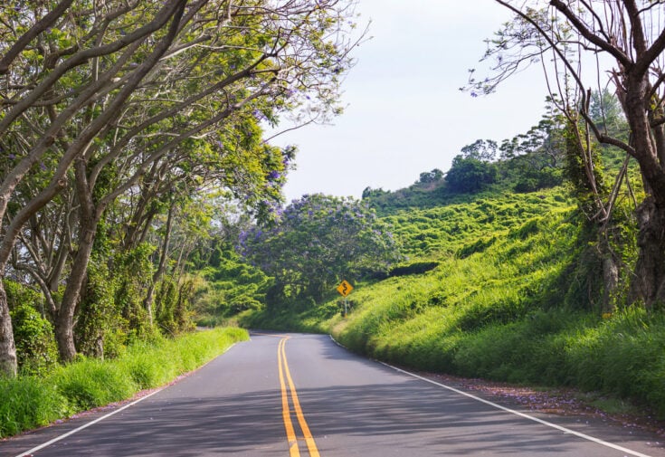 Do You Need a Rental a Car in Maui? Here's How to Decide