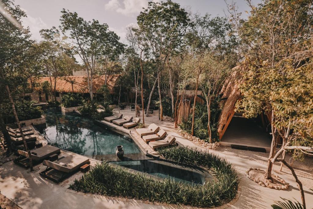 An aerial view of a pool surrounded by trees.