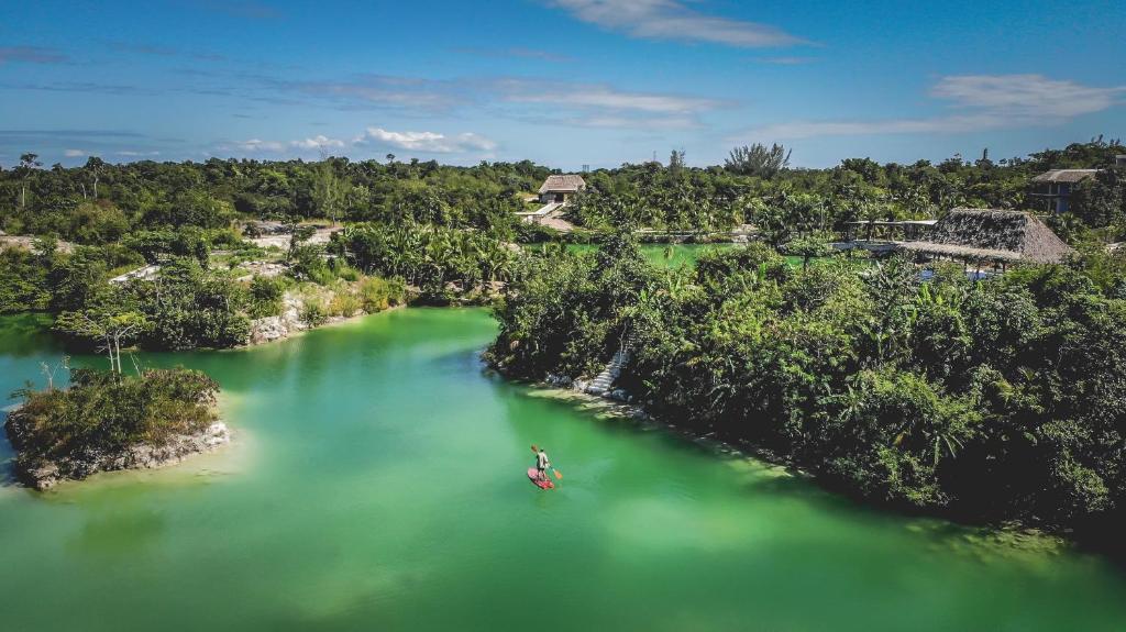 A man is paddling a canoe in a green lake.