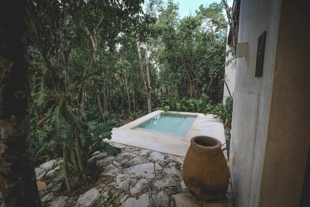 A small pool in the middle of a wooded area.