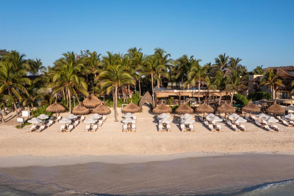 An aerial view of a beach with lounge chairs and umbrellas.