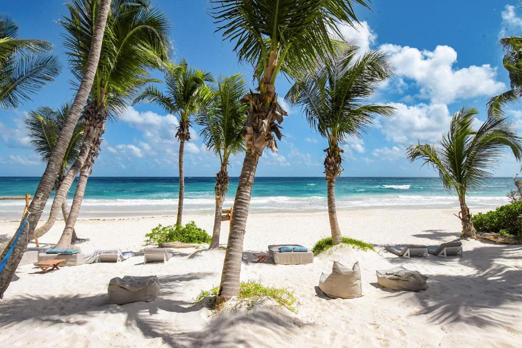 A beach with palm trees and lounge chairs.