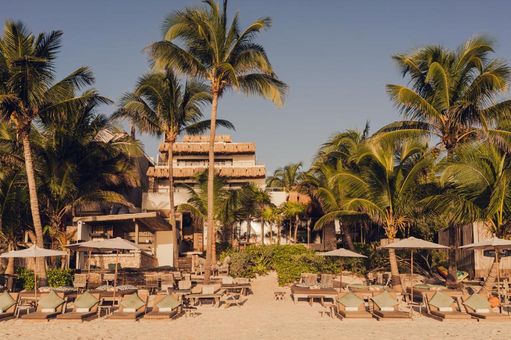 A beach with lounge chairs and palm trees.