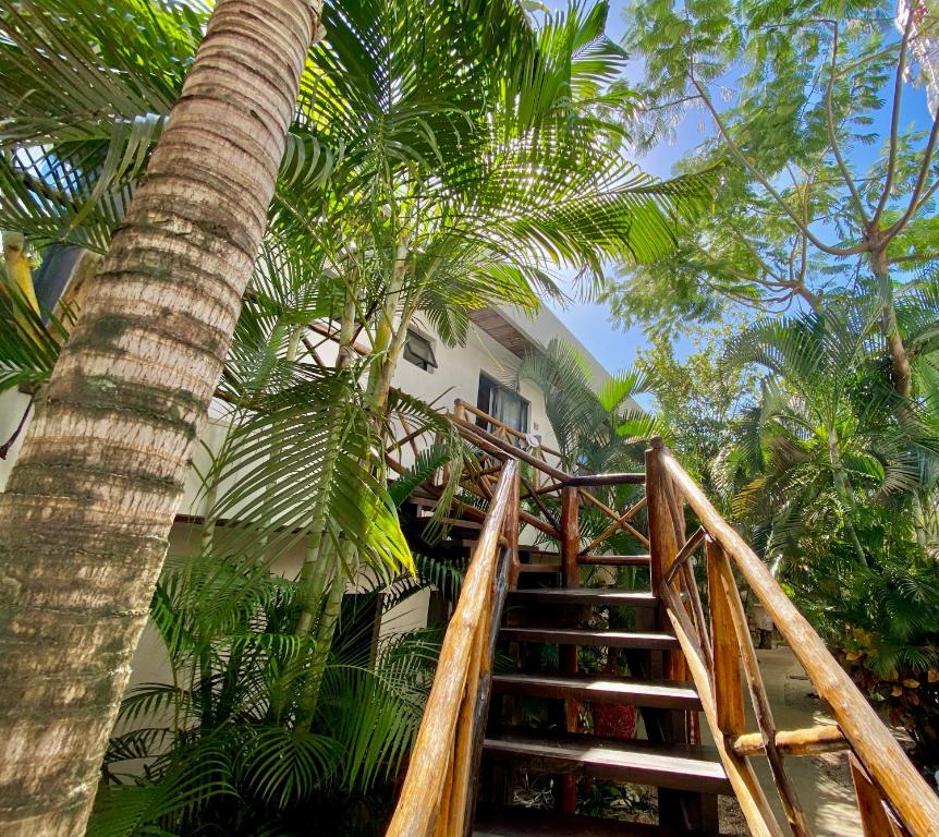 A wooden staircase leading to a tropical garden.