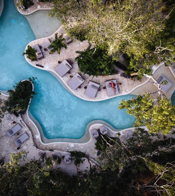 An aerial view of a pool surrounded by trees.