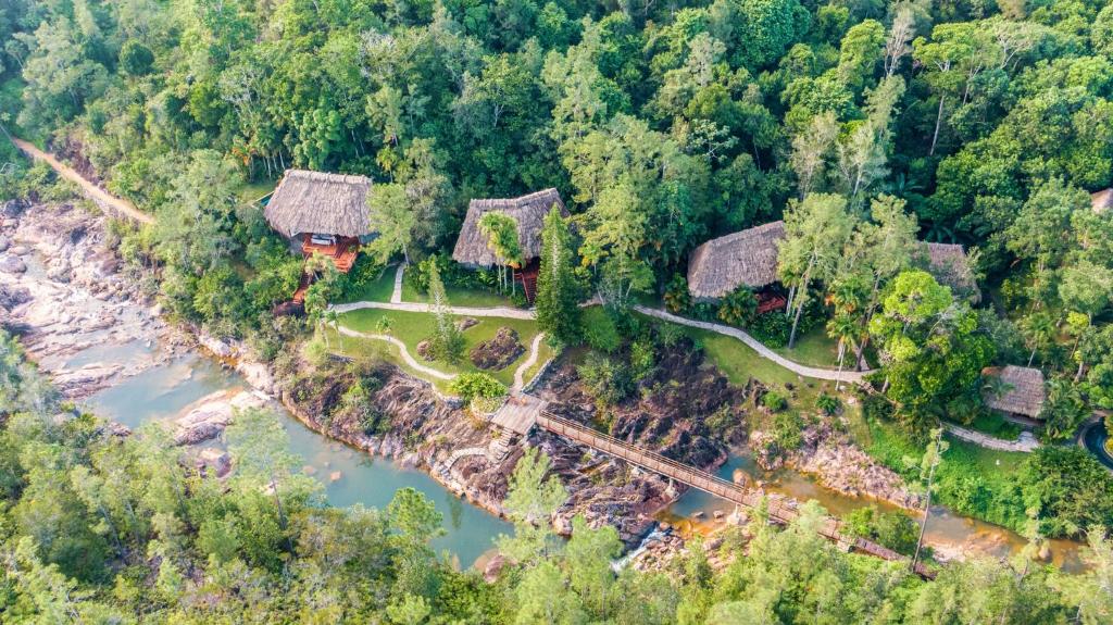 An aerial view of a resort in the jungle.