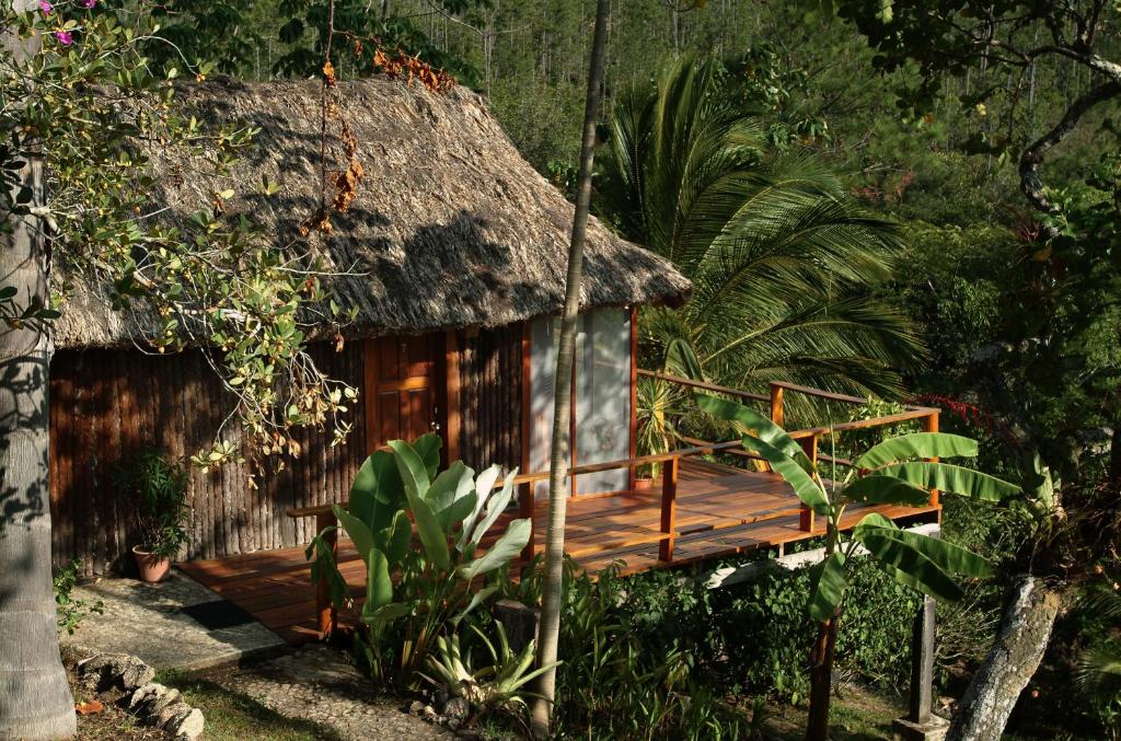 A hut with a thatched roof in the jungle.