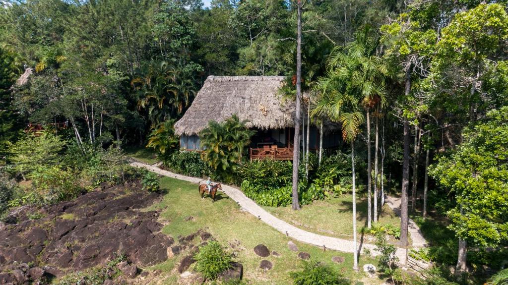 An aerial view of a thatched hut in the jungle.