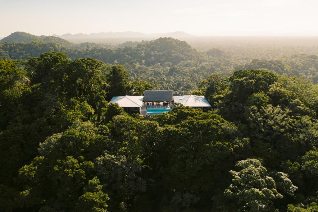 An aerial view of a house in the jungle.