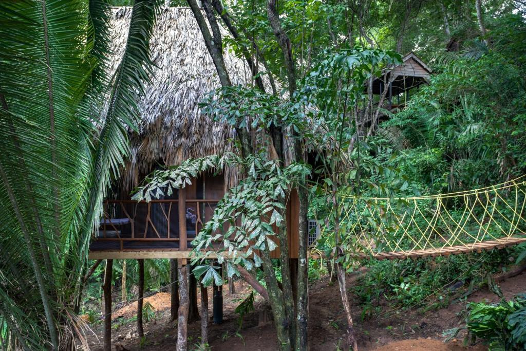 A tree house with a thatched roof in the jungle.