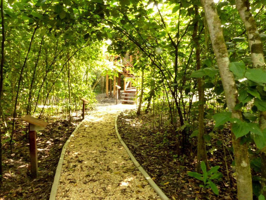 A path through the jungle leading to a tree house.