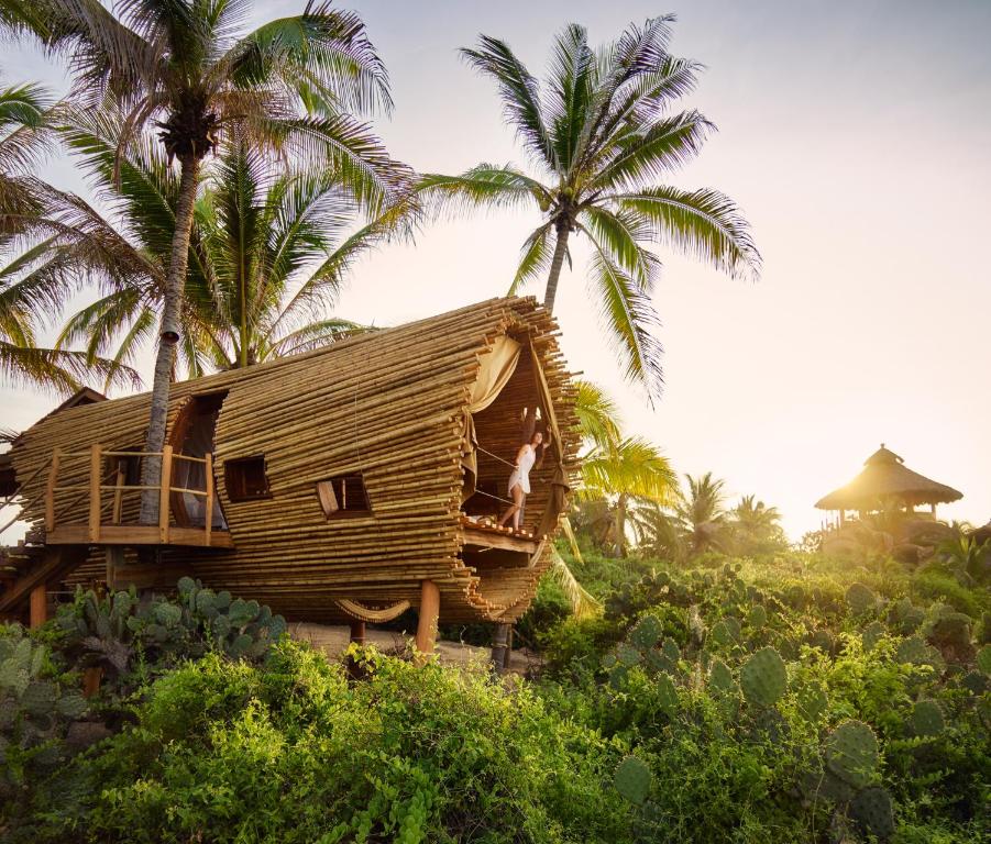 A tree house made out of bamboo in the middle of the jungle.