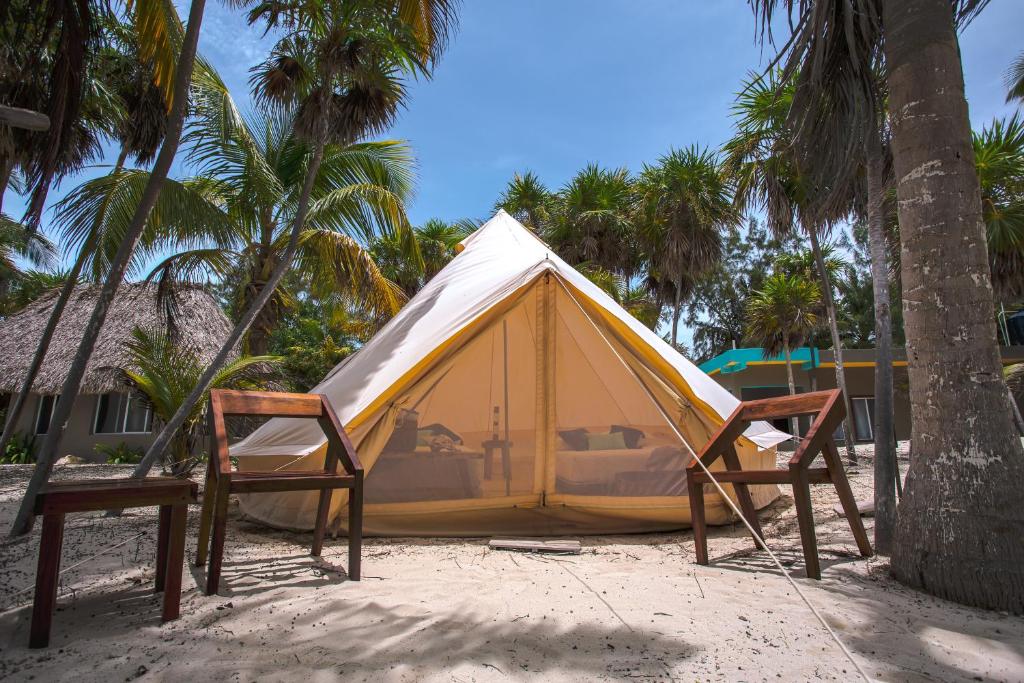 A teepee tent sits on the sand next to palm trees.