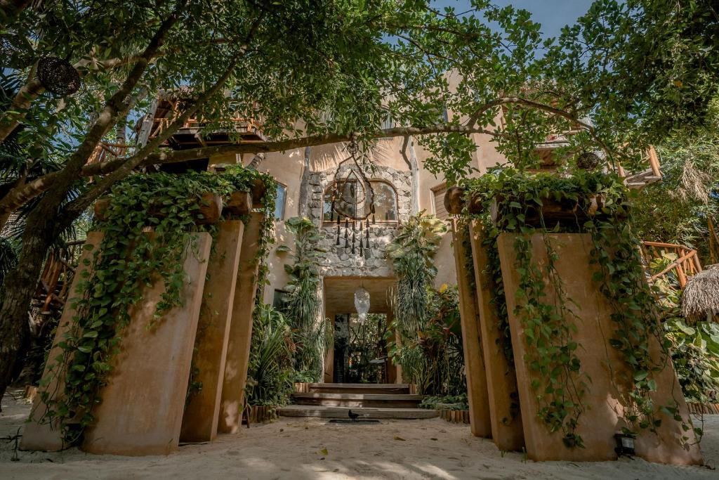 The entrance to a house in the jungle.