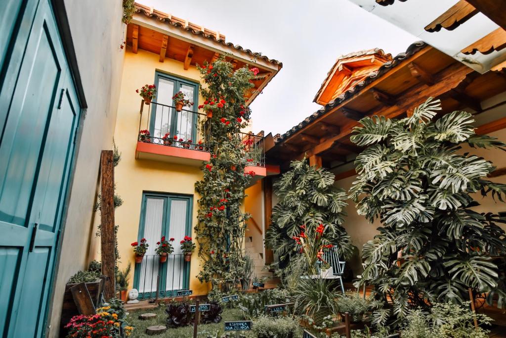 A courtyard with a lot of plants and flowers.