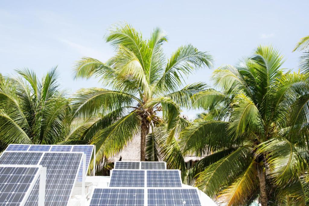 Solar panels on the roof of a house with palm trees.