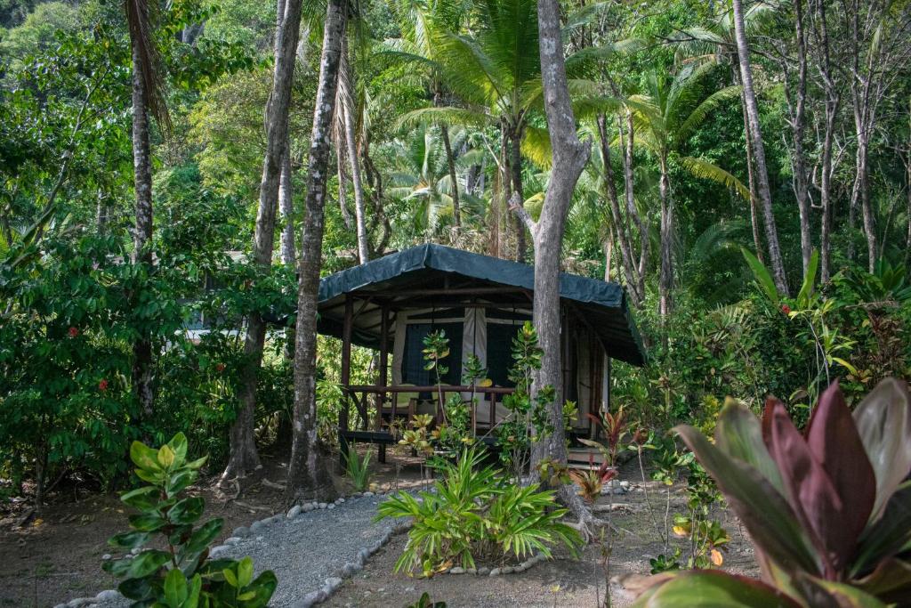 best eco tour costa rica