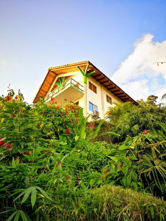 eco tourism activities in costa rica