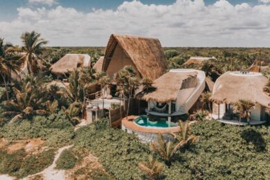 Papaya Playa Project