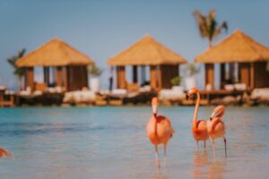 20 Best Adults Only All Inclusive Resorts Aruba