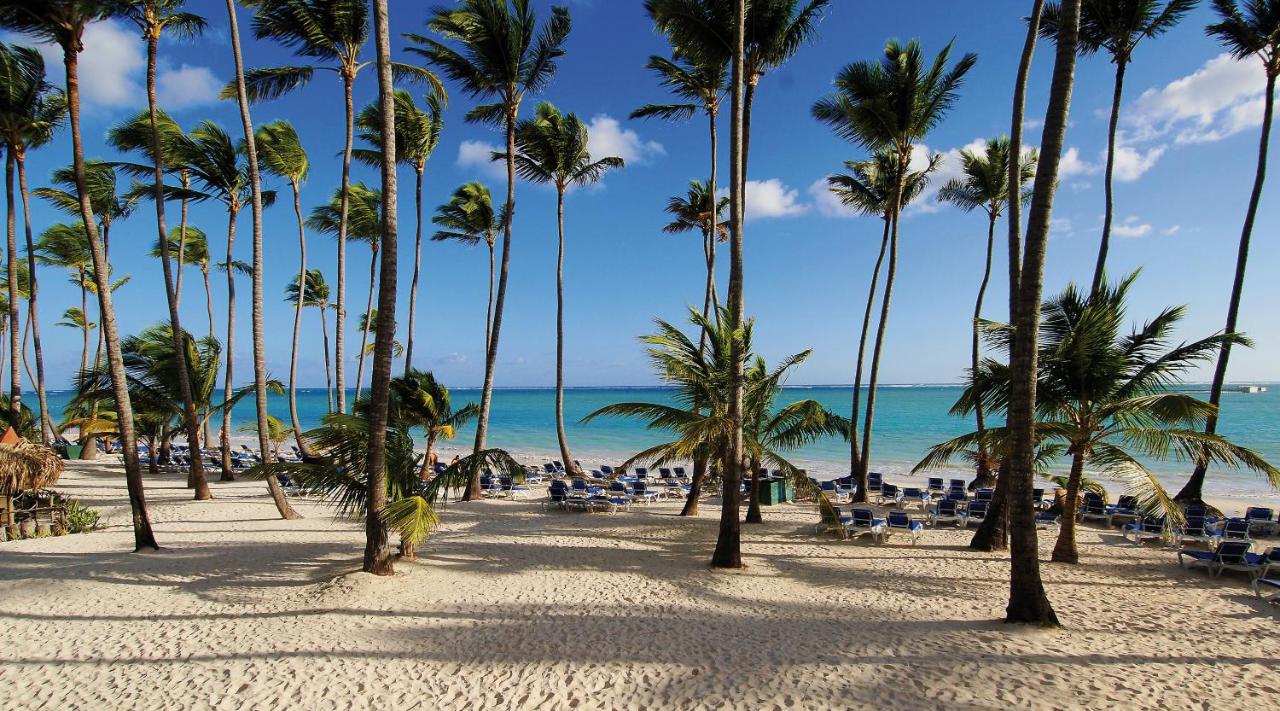 A sandy beach with tall palm trees overlooks blue ocean water and a clear sky. Rows of beach chairs are arranged facing the water.