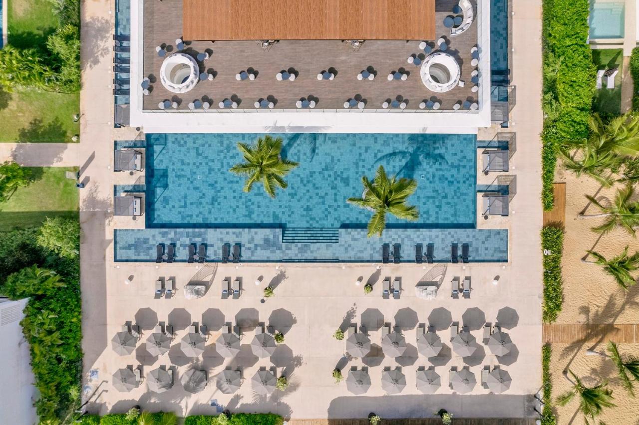 Aerial view of a pool area at a resort, featuring two central palm trees, sun loungers with umbrellas around the pool, and a wooden deck with additional seating. Surrounding greenery and pathways are visible.